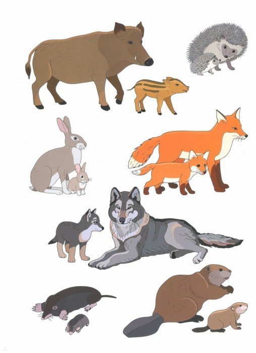 Раскраски Домашние животные для детей распечатать бесплатно