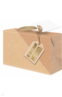 Пакет-коробка "Не переставай мечтать" (22, 5x13, 5x20 см) ( 79680)