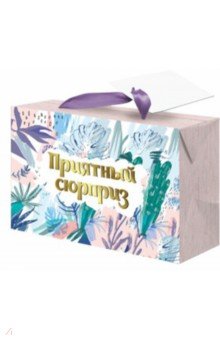 Пакет-коробка "Приятный сюрприз" (22, 5x13, 5x20 см) (79676)