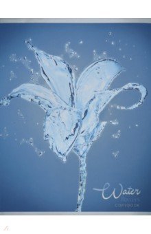   &quot; &quot; (48 , 5, ,  ) (2486188)