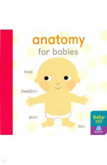 Anatomy for Babies (board book)