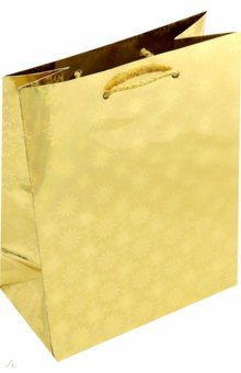 Пакет подарочный голографический (180 х 227) (MG-207)