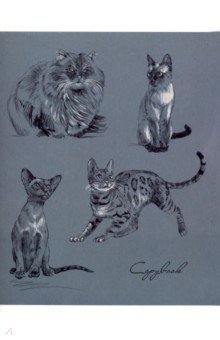 ������� ����� "�����" (96 ������, �5, ������, � ������������) (49545)