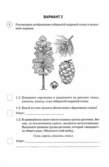 Впр 5 класс биология 2025 распечатать