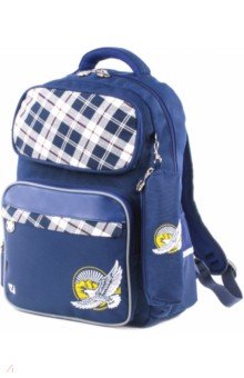 Рюкзак школьный "Орел" (с пеналом, 42 х 29 х 14 см) (227853)