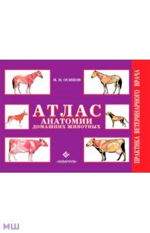 Атлас анатомии домашних животных