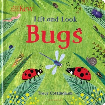 Lift and Look Bugs (board book)