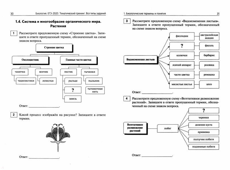 Схемы и таблицы по биологии огэ