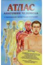 Атлас анатомии человека с перекидными прозрачными постерами (малый)