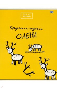    &quot;  !&quot; (48 , ,  ) (548_ 8232)