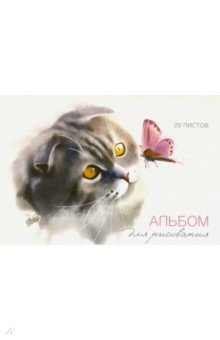    20  &quot; &quot;  (48153)