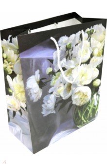 ����� ���������� �������������� (264*327) (L 3335)