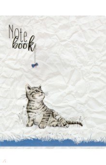  48  &quot;  &quot;   (27576)