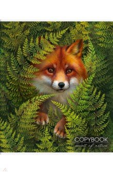 ������� "������", �5, 48 ������, ������, � ������������ (56677)