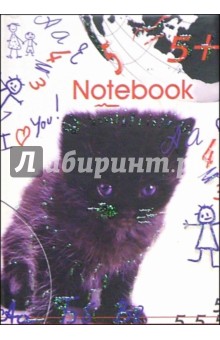  Notebook 3724 ( )