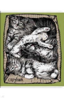 ������� ����� �����, �5+, 48 ������, ������, � ������������