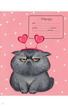 Тетрадь Очаровашки, 24 листа, клетка, А5+, в ассортименте Тетрадь Очаровашки, 24 листа, клетка, А5+, в ассортименте