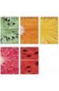 ������� Exotic Fruits, 40 ������, ������, �7, � ������������