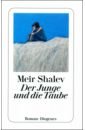 Der Junge und die Taube