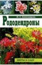 Майя Александрова - Рододендроны обложка книги