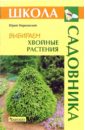 Юрий Марковский - Выбираем хвойные растения обложка книги