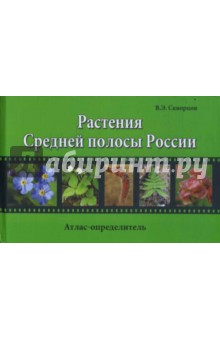 Растения Средней полосы России: Атлас-определитель - Владимир Скворцов