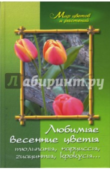 Любимые весенние цветы (тюльпаны, нарциссы, гиацинты, крокусы и другие) - Алексей Карпов
