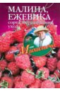 Николай Звонарев - Малина, ежевика. Сорта, выращивание, уход обложка книги