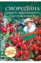 Николай Звонарев - Смородина. Сажаем, выращиваем, заготавливаем обложка книги