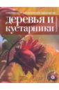 Современное декоративное садоводство. Деревья и кустарники (+CD) обложка книги