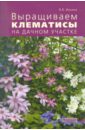 Валерия Ильина - Выращиваем клематисы на дачном участке обложка книги