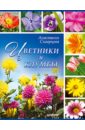 Анастасия Скворцова - Цветники и клумбы обложка книги
