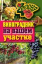 Екатерина Животовская - Виноградник на вашем участке обложка книги