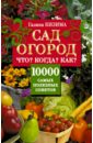 Галина Кизима - Сад, огород. Что? Когда? Как? 10000 самых полезн. обложка книги