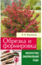 Валентин Воронцов - Обрезка и формировка кустарников обложка книги Валентин Воронцов - Обрезка и формировка кустарников обложка книги