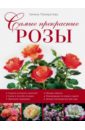 Галина Панкратова - Самые прекрасные розы обложка книги Галина Панкратова - Самые прекрасные розы обложка книги