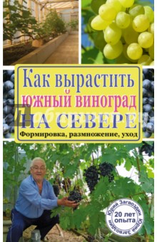 Как вырастить южный виноград на севере - Юрий Загвоздин