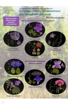 Определитель травянистых растений по цветкам. Растения лесов - А.С. Боголюбов