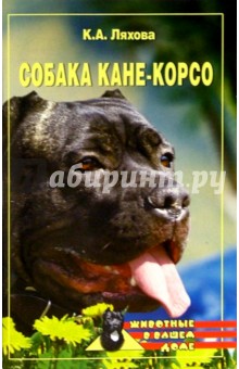 Собака кане-корсо - Кристина Ляхова
