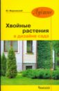Юрий Марковский - Лучшие хвойные растения в дизайне сада обложка книги
