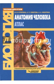 Анатомия человека: Атлас - Курепина, Ожигова, Никитина