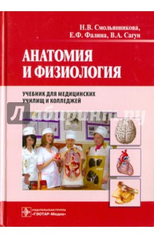 учебник по анатомии и физиологии Смольянникова наталья васильевна, фалина елена федоровна, сагун.