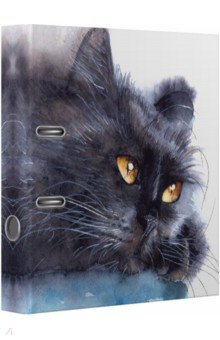     Black Cat, A4, 75 