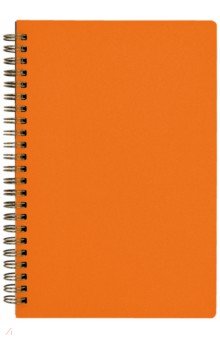 Тетрадь Pragmatic. 60 листов, клетка, оранжевый Bruno Visconti