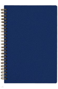 Тетрадь Pragmatic. 60 листов, клетка, синий Bruno Visconti - фото 1