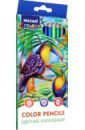 Обложка Карандаши цветные Wildlife, пластиковые, 12 цветов