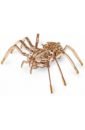 Обложка Конструктор деревянный 3D Spider. Паук