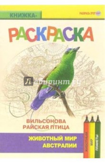 Вильсонова райская птица. Живой мир Австралии