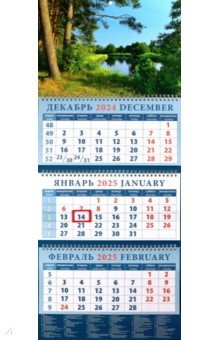 

Календарь квартальный на 2025 год Очарование природы