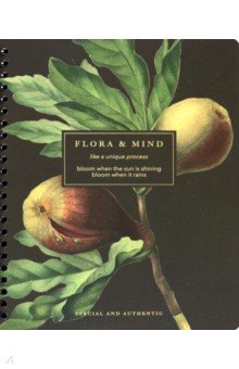

Тетрадь Flora. Инжир, 80 листов, клетка